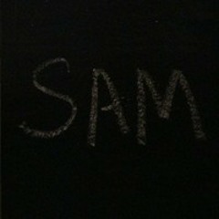 GBA 168 Sam