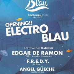 DIV 04 ELECTROBLAU - L'AMETLLA DE MAR