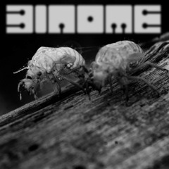 Binome - Live & Dj set (promo)
