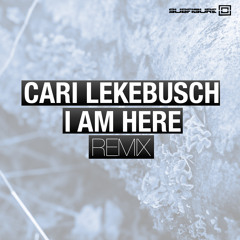 Jason Fernandes - I Am Here (Cari Lekebusch Remix) [Subfigure]