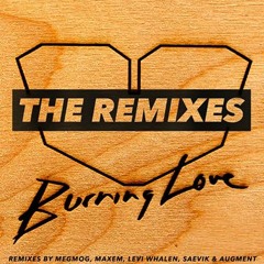 Jesus Loves Electro - Burning Love (Saevik Remix)