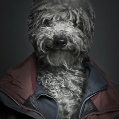 Under-Dogs