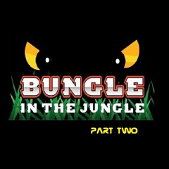 Back to 1995 - Bungle in the Jungle (part two)