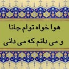 میدانم که می آیی_امیرحسین سام