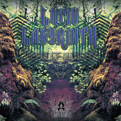 Neurorythmic - Solar Flares - VA - Temple of Lucidity (Insonitus Records) FREE DL