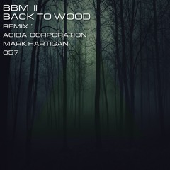 ITCR057 : BBM II - Back to Wood (Mark Hartigan Remix)