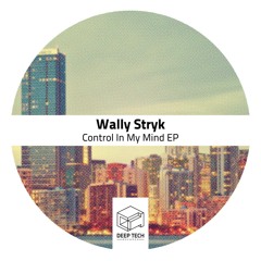 Wally Stryk - Red Moon (Original) [DeepTech Rec]