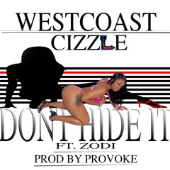 DONT HIDE IT FT ZODIAC PROD BY PROVOKE