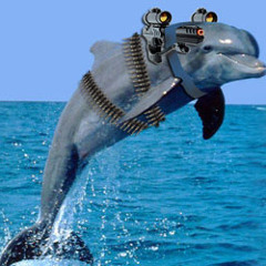 Combat Dolphins