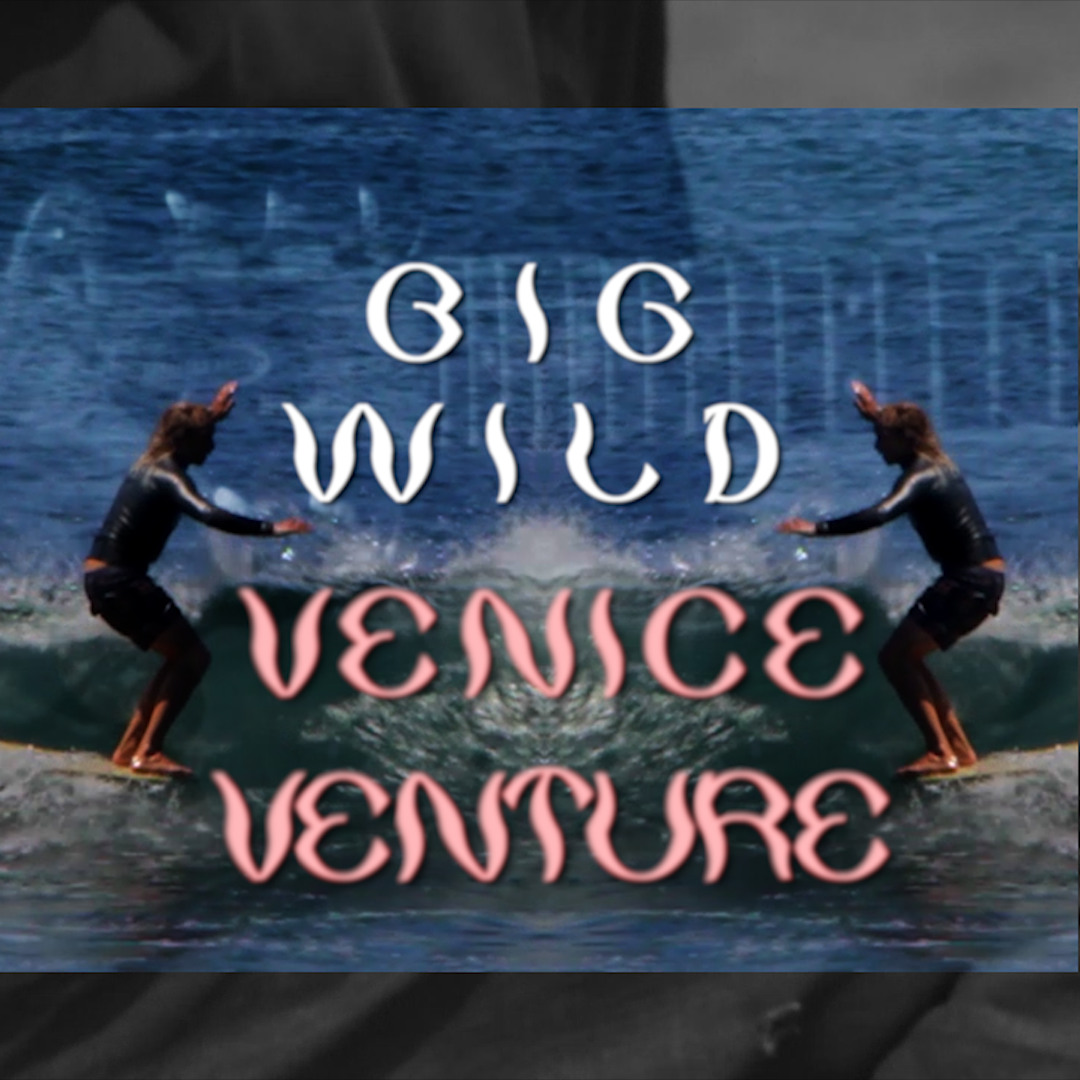 Stream Venice Venture by Big Wild | Listen online for free on
