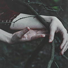 Vergissmeinnicht : Whispering Solitude