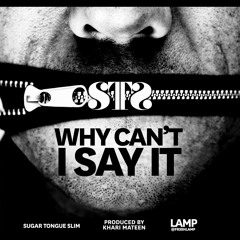 S.T.S. (Sugar Tongue Slim) - "Why Can't I Say It" (Prod. by Khari Mateen)