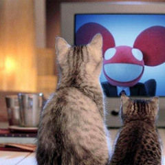 Entra El Gato Swagnum P (Jakolt Mash Up Intro)