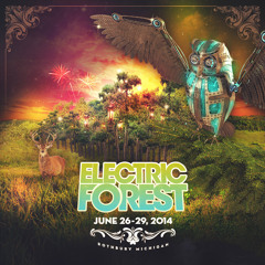 Improbability Blotter | Electric Forest 2014