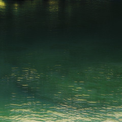 Bovidae (Unmastered)