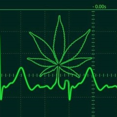 Blazin Flex Montana & Spanky