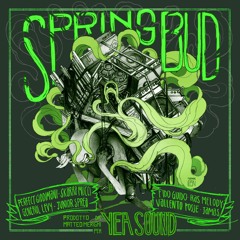 Skarra Mucci - Gunshot - Spring Bud riddim