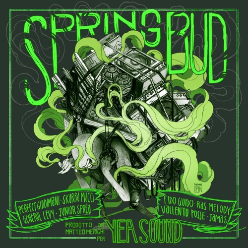 Skarra Mucci - Gunshot - Spring Bud riddim