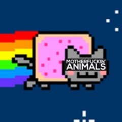 NYANIMALS
