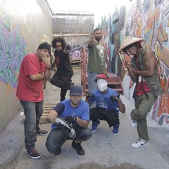 100 MCS  Jameleon, Acapel, Laguardia,Warnuts,sista whirlwind,Kable,EYEQ,HATA-PROOF