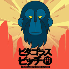 Summertone (Punkrockers)