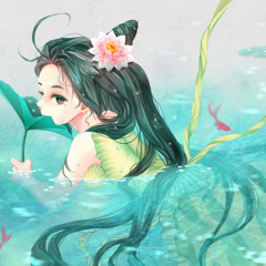 연꽃(Lotus flower)