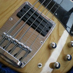 Sansamp bass driver DI Programmable