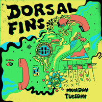 Dorsal Fins - Monday Tuesday
