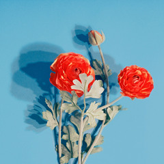 Faran Ensemble-Amazing Oriental