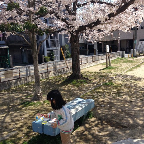 [TNR-042] guitarsisyo Cbb (from cherry blossom blooming)
