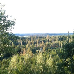 Walking Through Sunrise