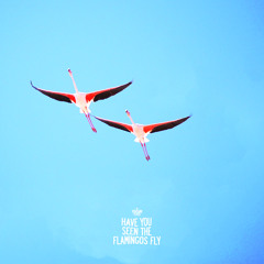 A Thousand Years - Have You Seen The Flamingos Fly