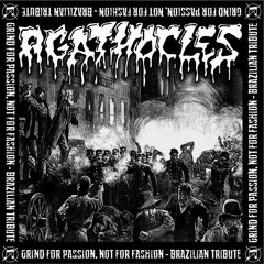IMMINENT CHAOS - More Patches Than Brains (Agathocles Cover)
