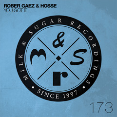 Rober Gaez & Hosse - You Got It (incl. Sick Elektrik Remix) | Preview