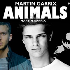Martin Garrix Animals Error 6337 2.0 (bootleg by vicc rouch)