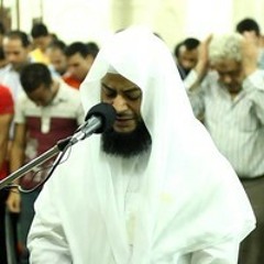 002 -  سورة البقرة - حاتم فريد