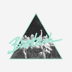 Flamingosis - Beatnik Mix