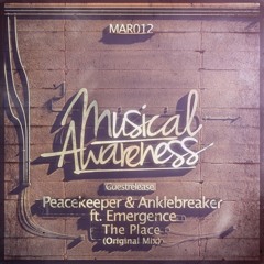 Peacekeeper & Anklebreaker ft. Emergence - The Place (Original Mix)