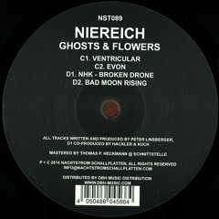 Niereich vs. Hackler & Kuch - Broken Drone (Original Mix)