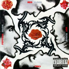 Red Hot Chili Peppers - If You Have to Ask (instrumental)