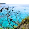 Anse Source - Vacation in Saint Tropez album artwork
