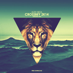 Alex Neza - Crossbey 2k14 (Original Mix)