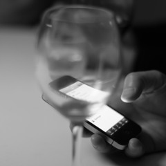 "iris" - Svenska Björnstammen