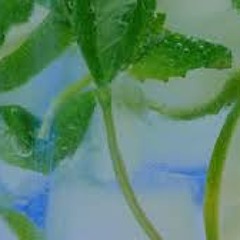 Knee Deep In Mojitos