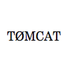Racing Glaciers- Moths (Tomcat remix)