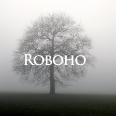 The Beginning (Band of Horses X ROBOHO) feat. Montana Escalante