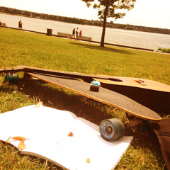 Blowing in The Wind |  Bob Dylan