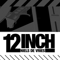 Niels De Vries - 12 Inch (Rocco & Bass - T Remix) (Joshica Remake)