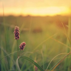 Nobody Teaches Life Anything (VIP)