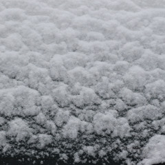 Stuck On You - New Politics (Cover) Jake and Michael